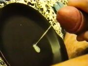 POMEZIA MY CUM COMPILATION
