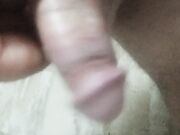 Segha