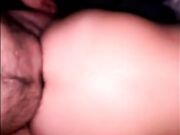 Inculata a pecora