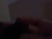 Primo Raspone