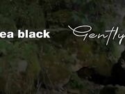 Il segaiolo guardone incula l'italiana esibizionista