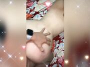 A pecora dopo due ora di sfondamento