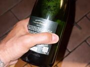 Bottiglia in culo e figa