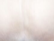 Cazzo nero mi distrugge il culo