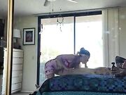 Pompino Milf porcella golosa di cazzo