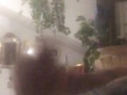 26 cm per donne campane