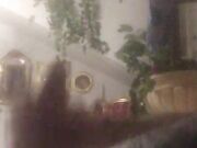 Anthony da Caserta 26cm