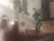 Anthony da Caserta 26cm