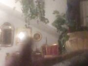 Anthony da Caserta 26cm