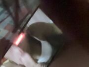 Succhia il cazzo e si riprende la troia