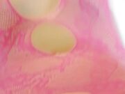 Mi godo il fantastico culo della mia donna!!!!!!