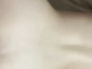 La mia splendida moglie scopata a pecora