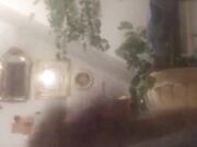 Anthony Manfredonia Caserta 26cm