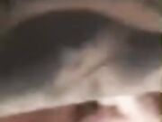 Alex mucci mr marra link in descrizione