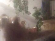 Sega Anthony Manfredonia Caserta