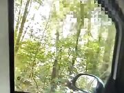 Pompino in auto in camporella