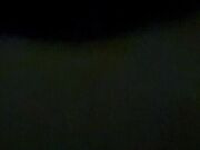 Troia gode a pecorina