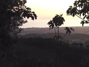 Valentina scopata nel bosco con crampie