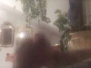 Anthony Manfredonia 26 cm