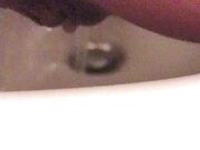 Dopo L inculata la sborra esce dal culetto