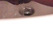 Dopo L inculata la sborra esce dal culetto