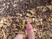 Scopata in camporella nel bosco