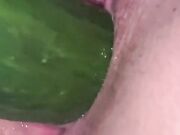 Moglie si sfonda con cetriolone