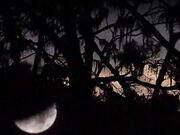 La notte di Halloween si incontrano gran troie