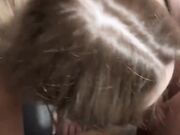 Le calippotte spompinano i loro fans