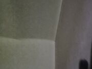 Succhiami il cazzo porca