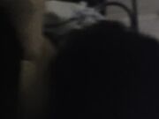 Succhiami il cazzo porca