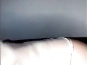 Vuoi dare una sbirciatina porcellino?