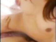 Il ragazzo albanese con trans