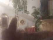 Cazzo Gigante di Antonio Anthony Manfredonia