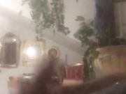 Cazzo Gigante di Antonio Anthony Manfredonia