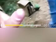 ELISABETH 85 cambiamento