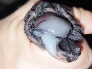 Segato da mia moglie sborro nei collant