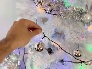 A Natale puoi incularmi tutto il tempo che vuoi