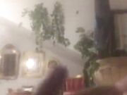 Stallone casertano 26 cm  - “mi fai male”