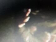 Stallone casertano 26 cm  - “mi fai male”