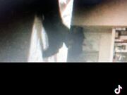 26 cm cazzo gigante Anthony Manfredonia