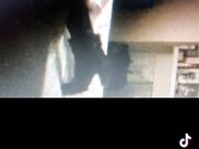 26 cm cazzo gigante Anthony Manfredonia