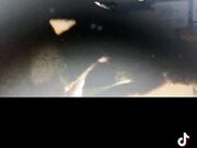 26 cm cazzo gigante Anthony Manfredonia