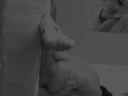 Pompino+ scopata cinese