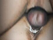 Scopata Pov con mia moglie vogliosa