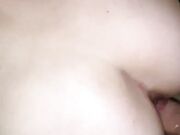 Cavalco amica a pecora col preservativo