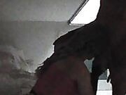 pompino a maturo cazzo grosso con ingoio