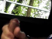 Sega in auto con passanti