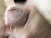 Sega in auto con passanti