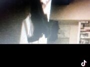 Noto Stallone Italiano con 26 cm